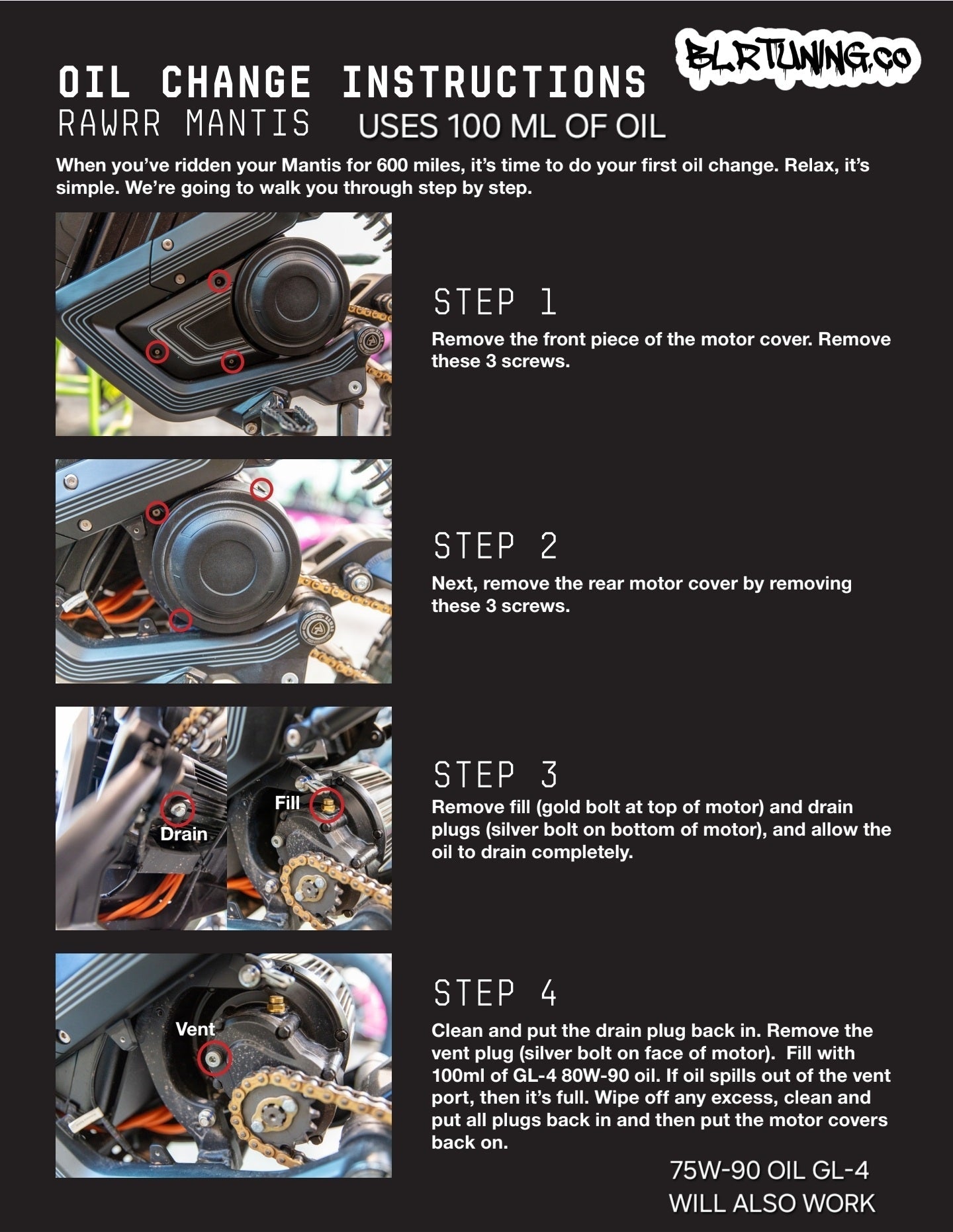 Electric Dirt Bike Gearbox Oil Change Kit – For RAWRR 72V Mantis - Mantis X - Mantis X Pro and More