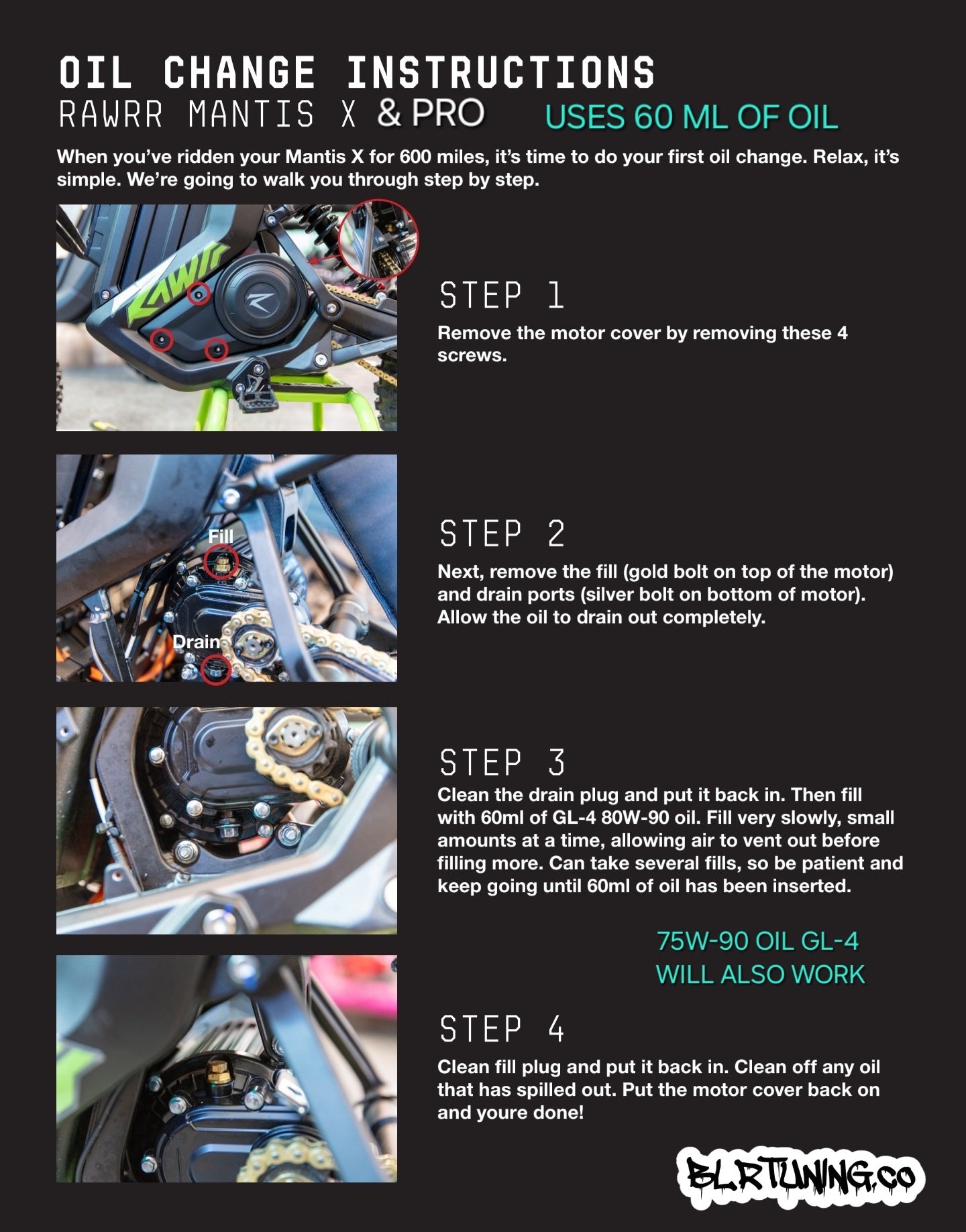 Electric Dirt Bike Gearbox Oil Change Kit – For RAWRR 72V Mantis - Mantis X - Mantis X Pro and More