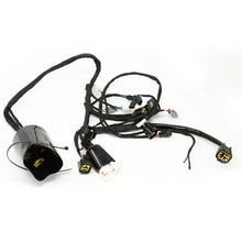 Surron Wiring Harness Light Bee OEM Replacement