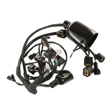 Surron Wiring Harness Light Bee OEM Replacement